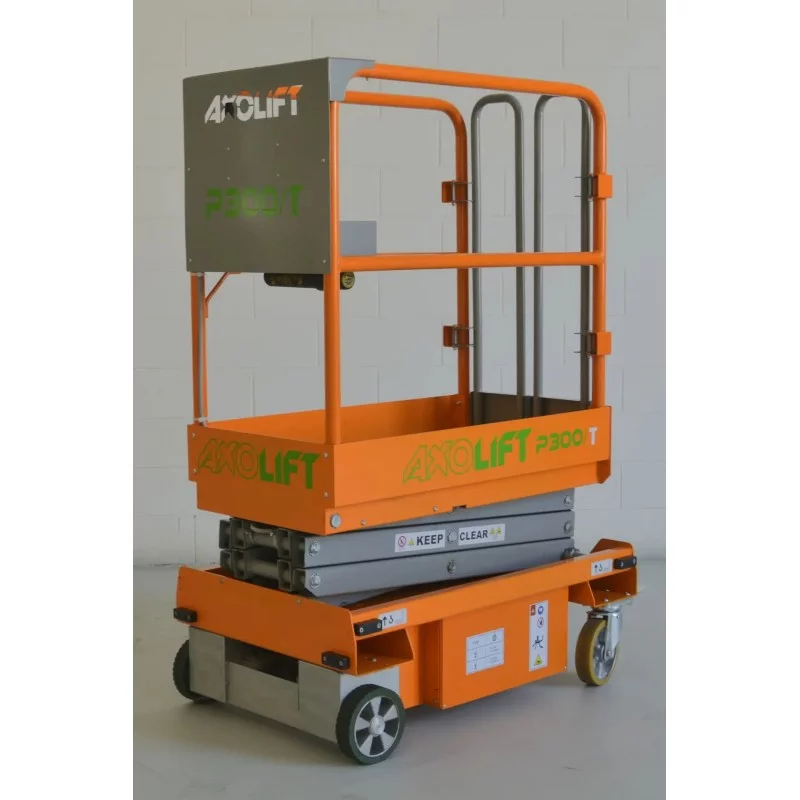 copy of P300 copy of P300