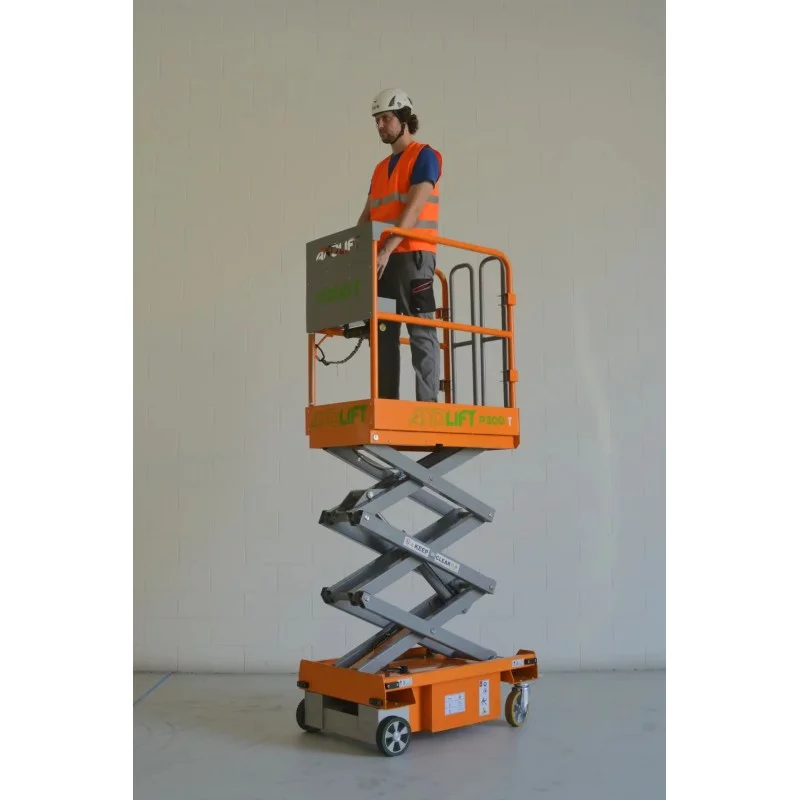 copy of P300 copy of P300