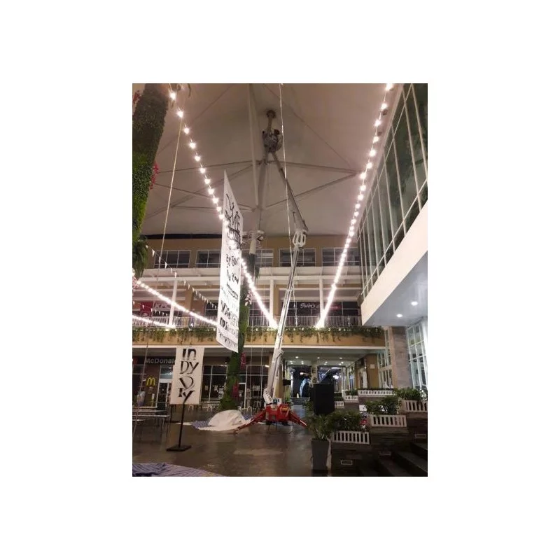 NEUWERTH Logistics SA - Palazzani - PALAZZANI TZX 225 C/R - Nacelle araignée NEUWERTH Logistics SA - Palazzani - PALAZZANI TZX 225 C/R - Nacelle araignée