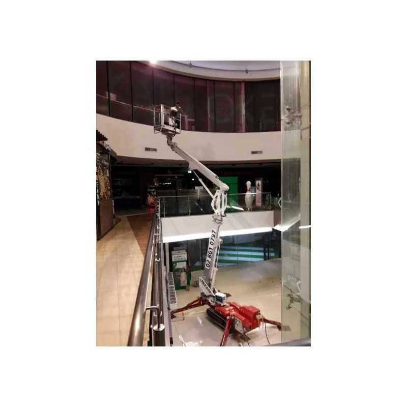 NEUWERTH Logistics SA - Palazzani - PALAZZANI TZX 225 C/R - Nacelle araignée NEUWERTH Logistics SA - Palazzani - PALAZZANI TZX 225 C/R - Nacelle araignée