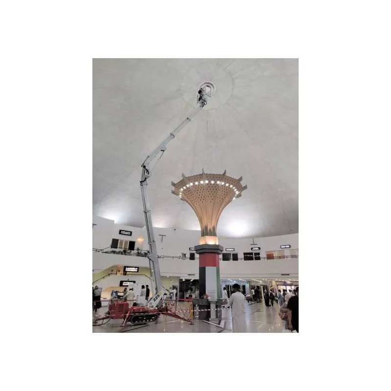 NEUWERTH Logistics SA - Palazzani - PALAZZANI TZX 225 C/R - Nacelle araignée NEUWERTH Logistics SA - Palazzani - PALAZZANI TZX 225 C/R - Nacelle araignée