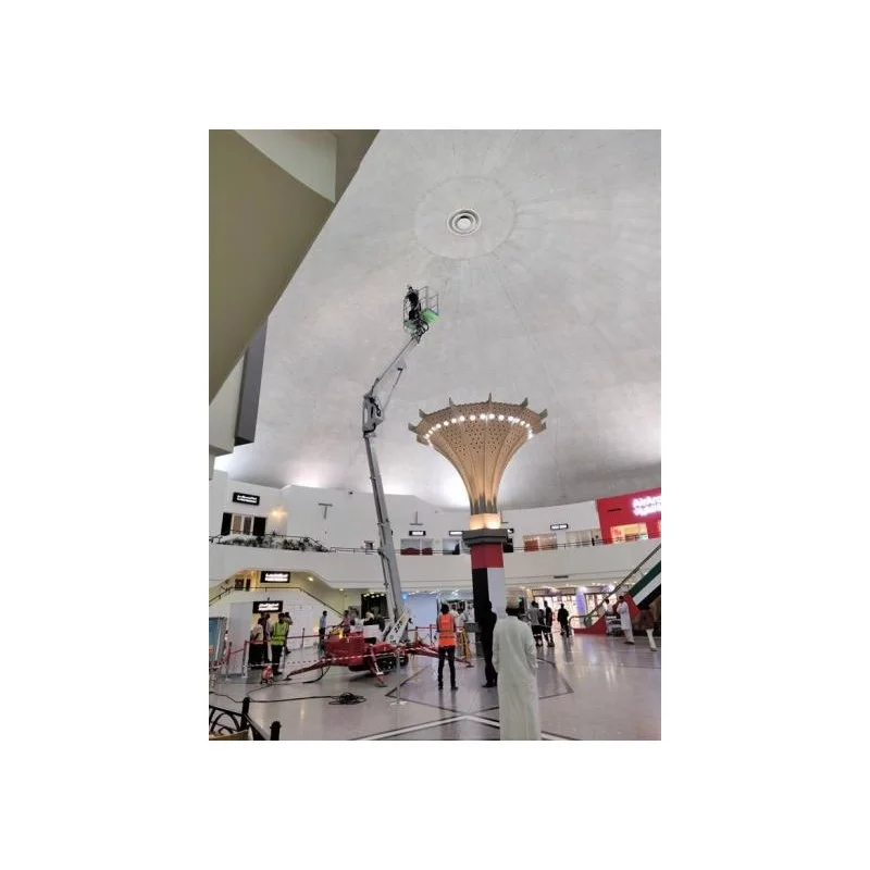 NEUWERTH Logistics SA - Palazzani - PALAZZANI TZX 225 C/R - Nacelle araignée NEUWERTH Logistics SA - Palazzani - PALAZZANI TZX 225 C/R - Nacelle araignée